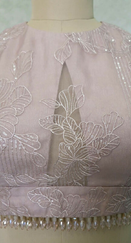 Blush Pink Embroidered Organza Saree Blouse
