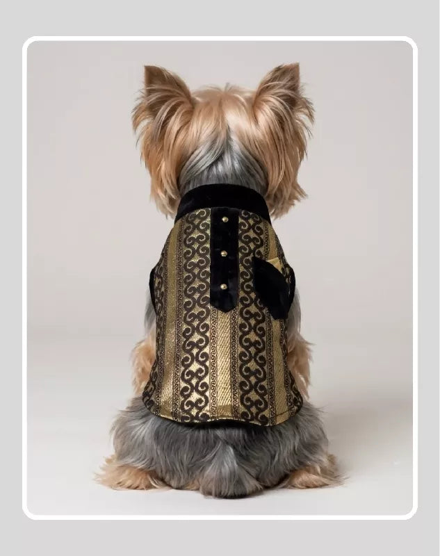 Black Sherwani with Gold Embroidery Work | Ethnic Kurta Sherwani for Dog, Cat and Puppy | Ethnic Wear | Mehendi - Dress - Party - Diwali - Wedding Wear