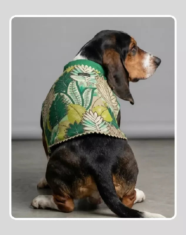 Green Sherwani for Dogs & Cats | Dog Kurta Set | Indian Wedding Dress for Dogs, Puppies & Cats | Ethnic Pet Outfit for Festivals, Weddings, Diwali, Navratri, Engagement & Traditional Wear