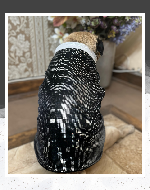 Black Shimmer Tuxedo | Dog Tuxedo | Pet Tuxedo | Formal Suit for Dogs, Cats & Pets | Wedding, Party & Special Occasion Outfit