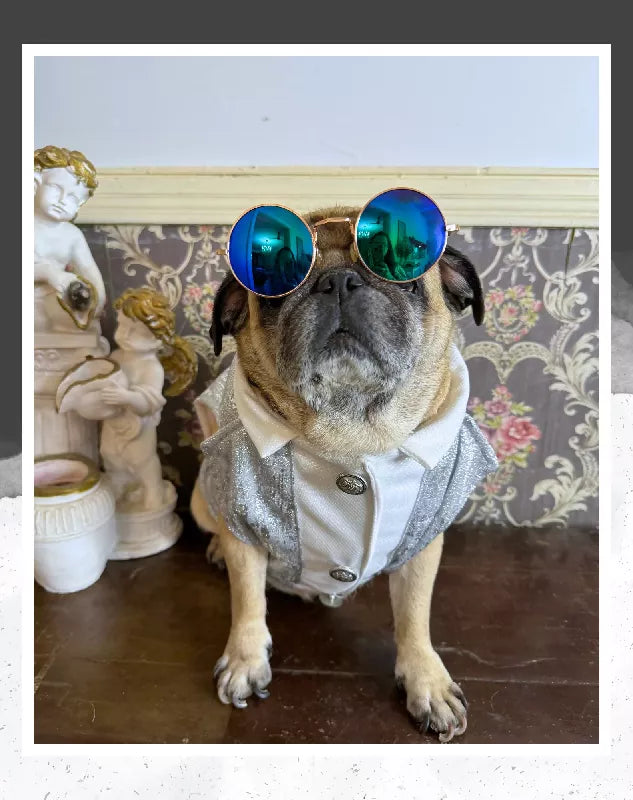 Silver Shimmer Tuxedo | Dog Tuxedo | Pet Tuxedo | Formal Suit for Dogs, Cats & Pets | Wedding, Party & Special Occasion Outfit