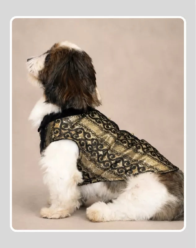 Black Sherwani with Gold Embroidery Work | Ethnic Kurta Sherwani for Dog, Cat and Puppy | Ethnic Wear | Mehendi - Dress - Party - Diwali - Wedding Wear