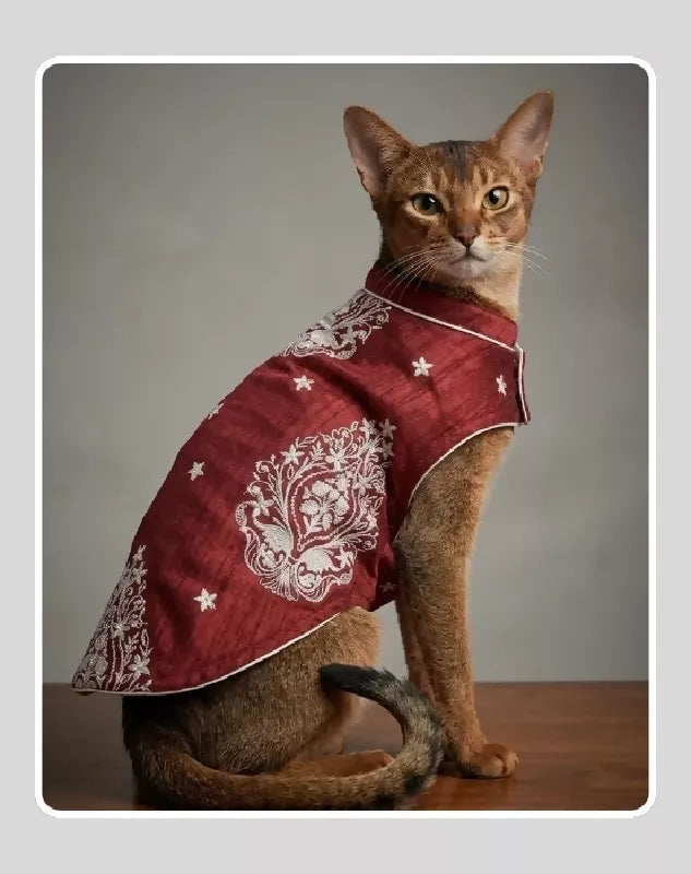 Maroon Sherwani for Dogs & Cats | Dog Kurta Set | Indian Wedding Dress for Dogs, Puppies & Cats | Ethnic Pet Outfit for Festivals, Weddings, Diwali, Navratri, Engagement & Traditional Wear