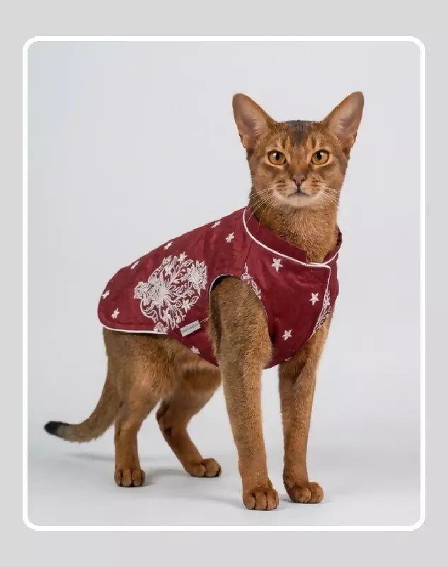 Maroon Sherwani for Dogs & Cats | Dog Kurta Set | Indian Wedding Dress for Dogs, Puppies & Cats | Ethnic Pet Outfit for Festivals, Weddings, Diwali, Navratri, Engagement & Traditional Wear