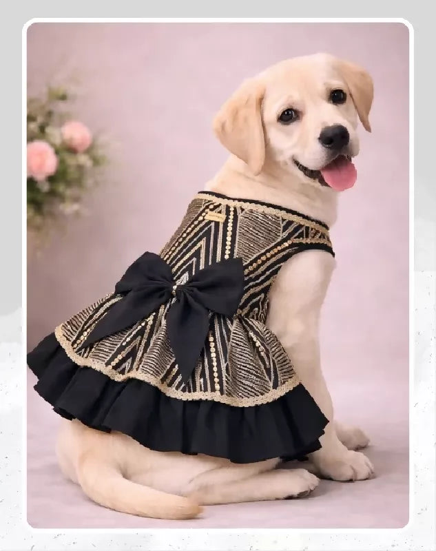 Black & Gold Pet Lehenga Dress | Dog Lehenga | Pet Lehenga Choli | Indian Dress for Dogs, Cats & Pets | Traditional Wedding & Festival Outfit