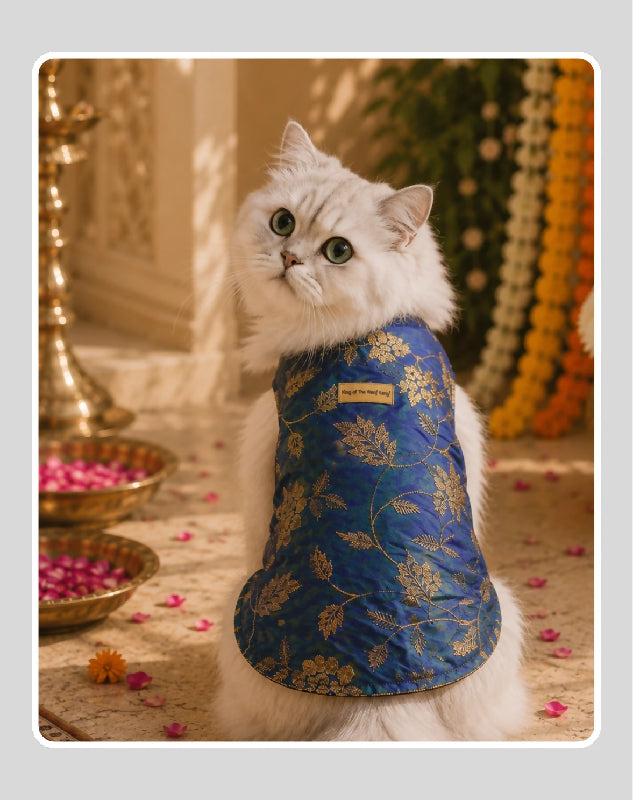 Elegant Sherwani for Dogs & Cats | Ethnic Kurta Sherwani for Dog, Cat and Puppy | Ethnic Wear | Mehendi - Dress - Party - Diwali - Wedding Wear