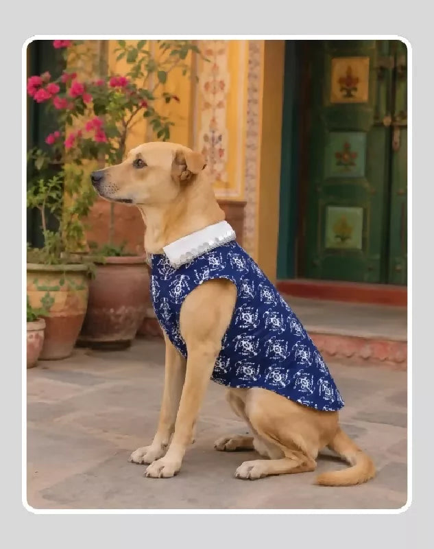 Blue Cotton Ethnic Kurta Sherwani for Dog, Cat and Puppy | Ethnic Wear | Mehendi - Dress - Party - Diwali - Wedding Wear