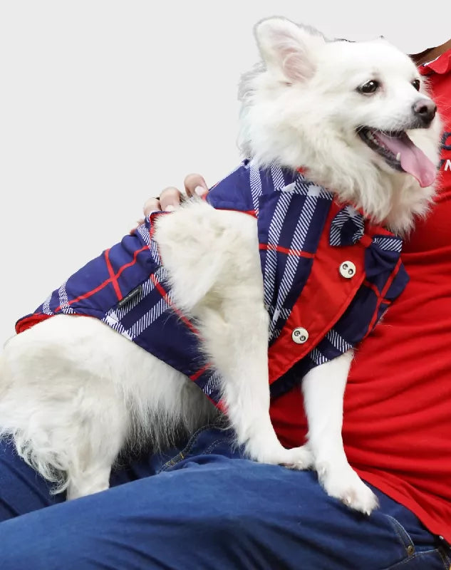 Blue Check Tuxedo | Dog Tuxedo | Pet Tuxedo | Formal Suit for Dogs, Cats & Pets | Wedding, Party & Special Occasion Outfit
