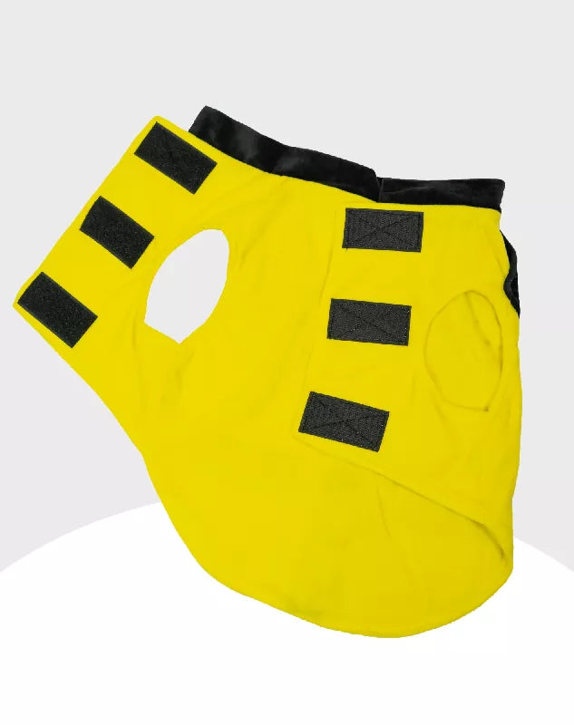 Yellow Velvet Tuxedo | Dog Tuxedo | Pet Tuxedo | Formal Suit for Dogs, Cats & Pets | Wedding, Party & Special Occasion Outfit