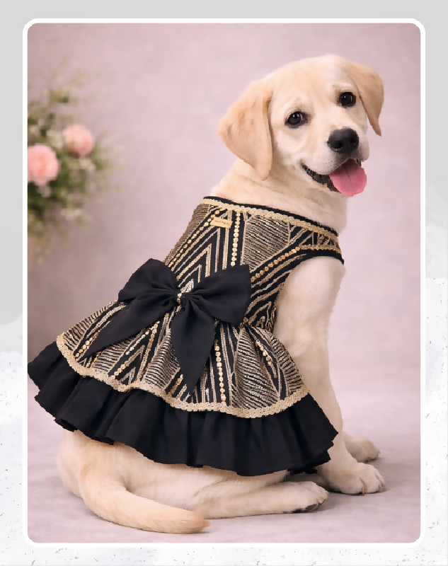 Black & Gold Pet Lehenga Dress | Dog Lehenga | Pet Lehenga Choli | Indian Dress for Dogs, Cats & Pets | Traditional Wedding & Festival Outfit