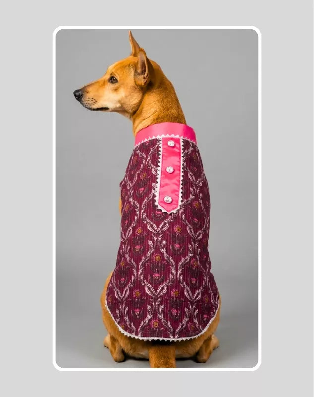 Classic Indian Pink Sherwani for Dogs & Cats | Ethnic Kurta Sherwani for Dog, Cat and Puppy | Ethnic Wear | Mehendi - Dress - Party - Diwali - Wedding Wear
