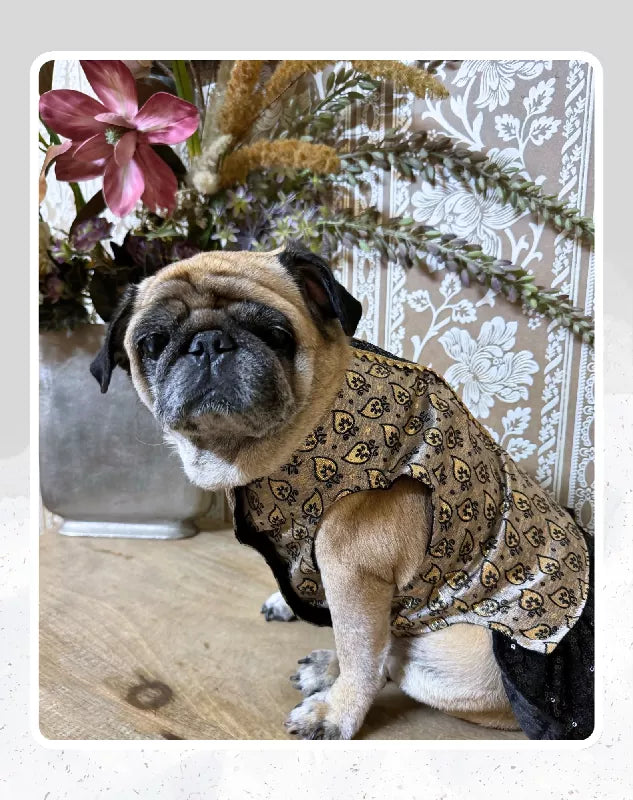 Grey and Black Lehenga for Dogs & Cats | Dog Lehenga | Pet Lehenga Choli | Indian Dress for Dogs, Cats & Pets | Traditional Wedding & Festival Outfit