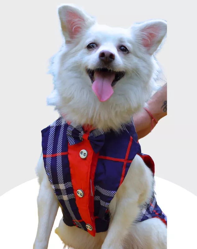 Blue Check Tuxedo | Dog Tuxedo | Pet Tuxedo | Formal Suit for Dogs, Cats & Pets | Wedding, Party & Special Occasion Outfit