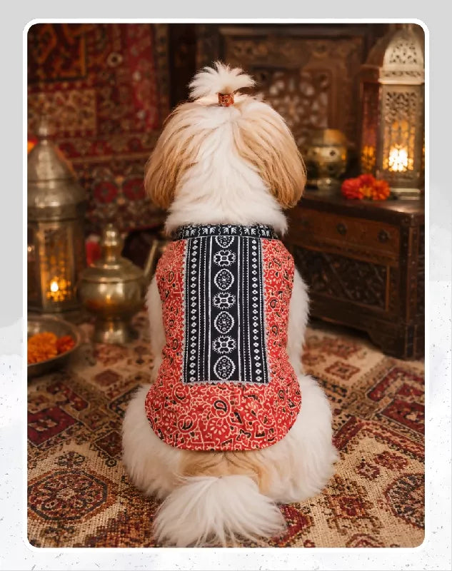 Red Cotton Ethnic Kurta Sherwani for Dog, Cat and Puppy | Ethnic Wear | Mehendi - Dress - Party - Diwali - Wedding Wear