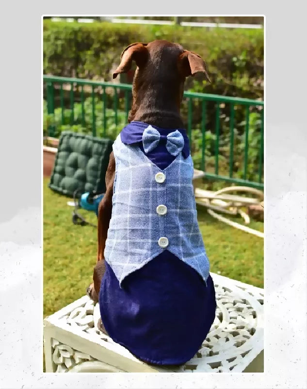 Blue Denim Tuxedo | Dog Tuxedo | Pet Tuxedo | Formal Suit for Dogs, Cats & Pets | Wedding, Party & Special Occasion Outfit