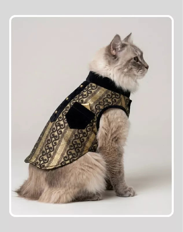 Black Sherwani with Gold Embroidery Work | Ethnic Kurta Sherwani for Dog, Cat and Puppy | Ethnic Wear | Mehendi - Dress - Party - Diwali - Wedding Wear