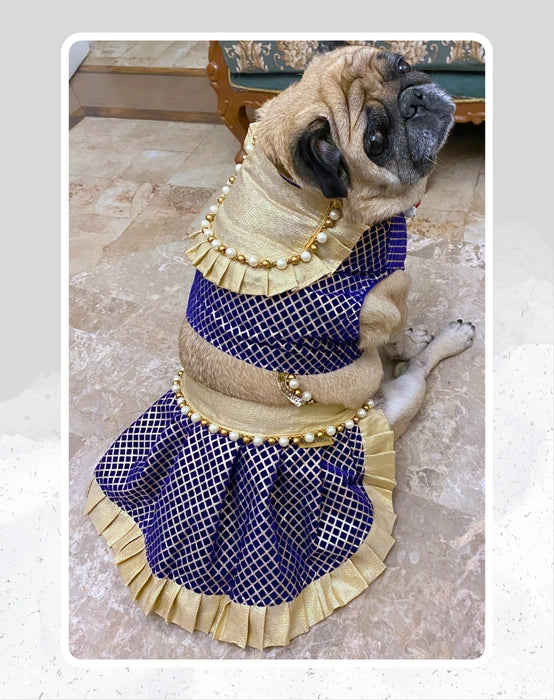 Blue & Gold Lehenga Choli for Dogs & Cats | Dog Lehenga | Pet Lehenga Choli | Indian Dress for Dogs, Cats & Pets | Traditional Wedding & Festival Outfit