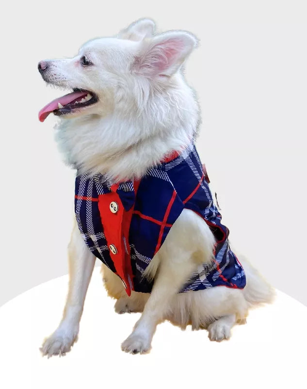 Blue Check Tuxedo | Dog Tuxedo | Pet Tuxedo | Formal Suit for Dogs, Cats & Pets | Wedding, Party & Special Occasion Outfit