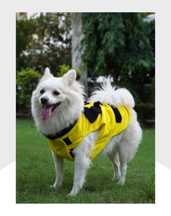 Yellow Velvet Tuxedo | Dog Tuxedo | Pet Tuxedo | Formal Suit for Dogs, Cats & Pets | Wedding, Party & Special Occasion Outfit