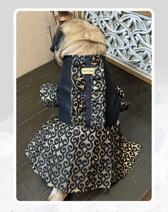 Elegant Black & Gold Suit/Lehenga Choli for Pets for All Special Occasions and Weddings