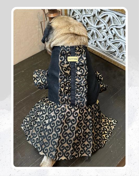 Elegant Black & Gold Suit/Lehenga Choli for Pets for All Special Occasions and Weddings
