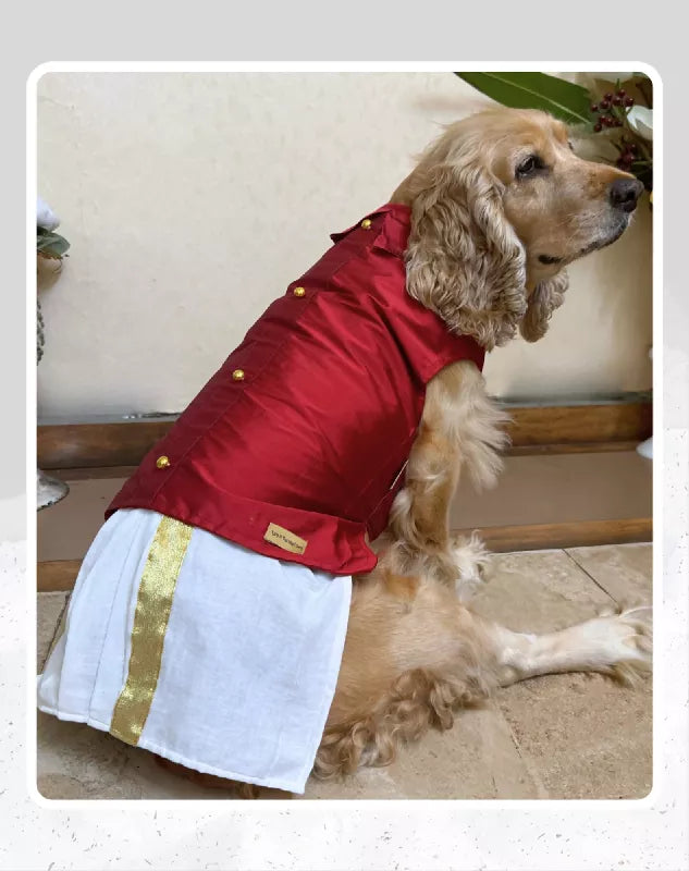 Dog Veshti Kurta | Pet Veshti Kurta | South Indian Dress for Dogs, Cats & Pets | Traditional Ethnic Wear