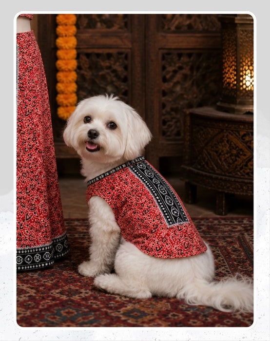 Red Cotton Ethnic Kurta Sherwani for Dog, Cat and Puppy | Ethnic Wear | Mehendi - Dress - Party - Diwali - Wedding Wear