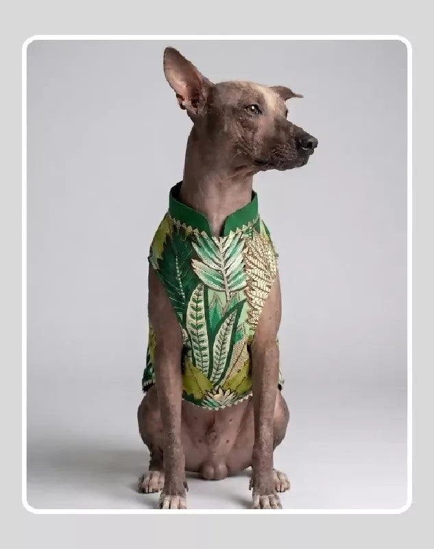 Green Sherwani for Dogs & Cats | Dog Kurta Set | Indian Wedding Dress for Dogs, Puppies & Cats | Ethnic Pet Outfit for Festivals, Weddings, Diwali, Navratri, Engagement & Traditional Wear