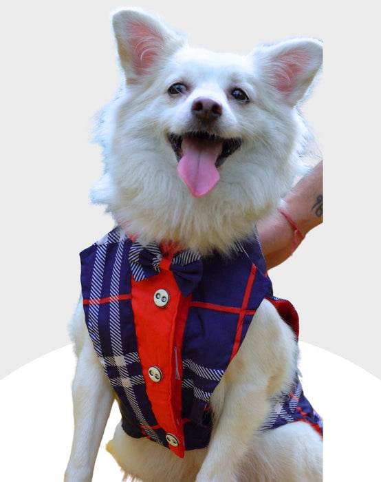 Blue Check Tuxedo | Dog Tuxedo | Pet Tuxedo | Formal Suit for Dogs, Cats & Pets | Wedding, Party & Special Occasion Outfit