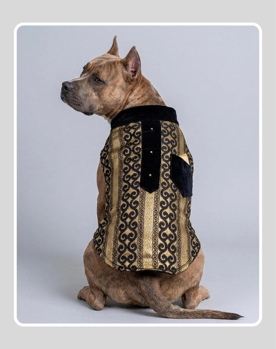 Black Sherwani with Gold Embroidery Work | Ethnic Kurta Sherwani for Dog, Cat and Puppy | Ethnic Wear | Mehendi - Dress - Party - Diwali - Wedding Wear