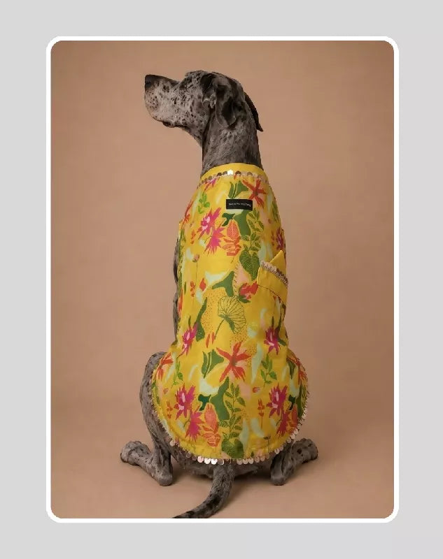Yellow Floral Sherwani for Dogs & Cats | Ethnic Kurta Sherwani for Dog, Cat and Puppy | Ethnic Wear | Mehendi - Dress - Party - Diwali - Wedding Wear