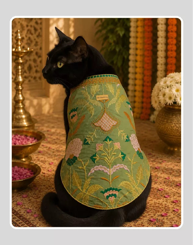 Classic Indian Sherwani for Dogs & Cats | Ethnic Kurta Sherwani for Dog, Cat and Puppy | Ethnic Wear | Mehendi - Dress - Party - Diwali - Wedding Wear