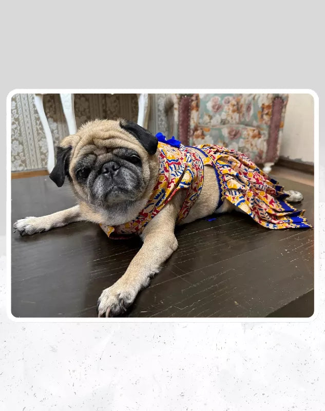 Elegant Printed Red Lehenga Choli for Dogs & Cats | Dog Lehenga | Pet Lehenga Choli | Indian Dress for Dogs, Cats & Pets | Traditional Wedding & Festival Outfit