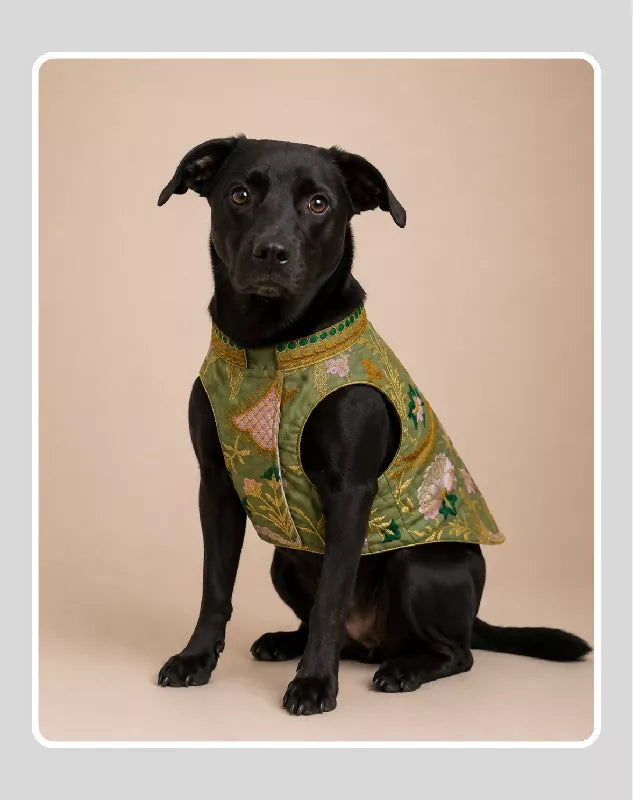 Classic Indian Sherwani for Dogs & Cats | Ethnic Kurta Sherwani for Dog, Cat and Puppy | Ethnic Wear | Mehendi - Dress - Party - Diwali - Wedding Wear