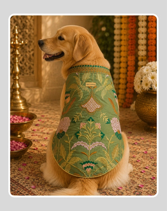 Classic Indian Sherwani for Dogs & Cats | Ethnic Kurta Sherwani for Dog, Cat and Puppy | Ethnic Wear | Mehendi - Dress - Party - Diwali - Wedding Wear