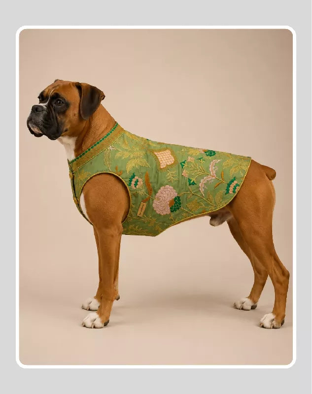 Classic Indian Sherwani for Dogs & Cats | Ethnic Kurta Sherwani for Dog, Cat and Puppy | Ethnic Wear | Mehendi - Dress - Party - Diwali - Wedding Wear