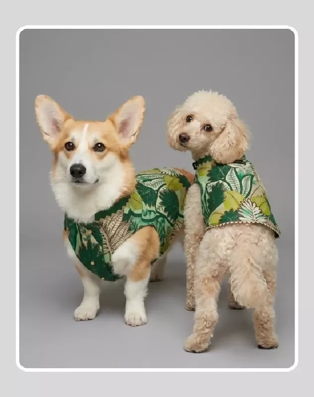 Green Sherwani for Dogs & Cats | Dog Kurta Set | Indian Wedding Dress for Dogs, Puppies & Cats | Ethnic Pet Outfit for Festivals, Weddings, Diwali, Navratri, Engagement & Traditional Wear