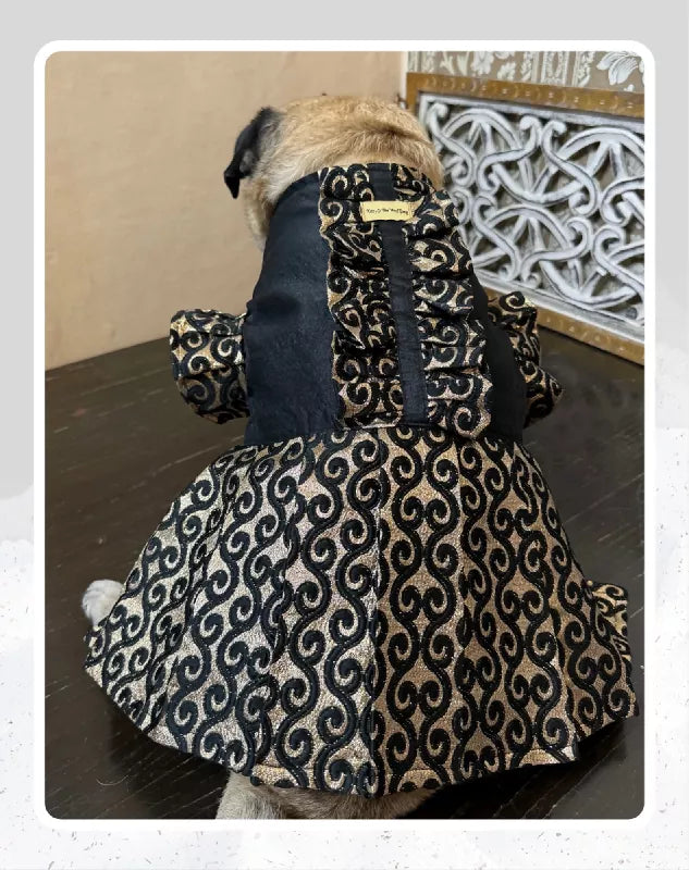 Elegant Black & Gold Suit/Lehenga Choli for Pets for All Special Occasions and Weddings