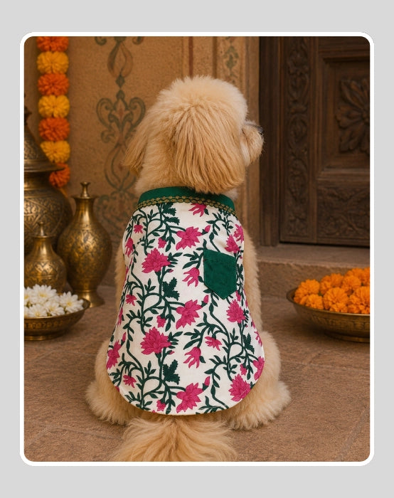 Floral Cotton Ethnic Kurta Sherwani for Dog, Cat and Puppy | Ethnic Wear | Mehendi - Dress - Party - Diwali - Wedding Wear