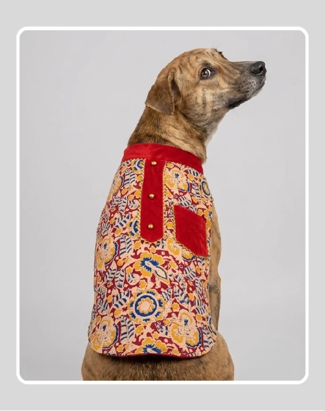 Maroon Floral Sherwani for Dogs & Cats | Dog Kurta Set | Indian Wedding Dress for Dogs, Puppies & Cats | Ethnic Pet Outfit for Festivals, Weddings, Diwali, Navratri, Engagement & Traditional Wear
