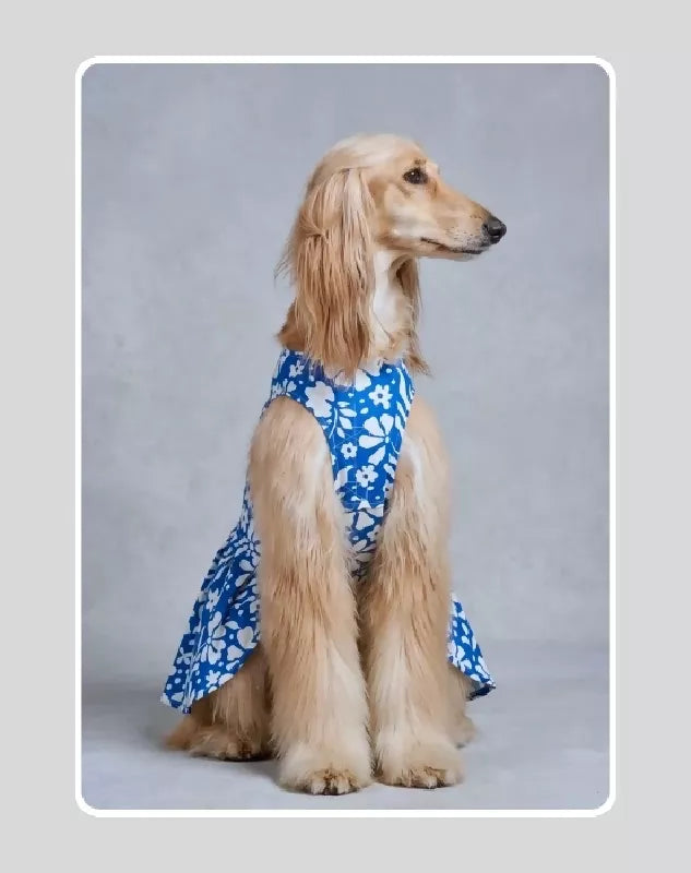Blue Floral Cotton Dress For Dog & Cat | Dog Lehenga | Pet Lehenga Choli | Indian Dress for Dogs, Cats & Pets | Traditional Wedding & Festival Outfit