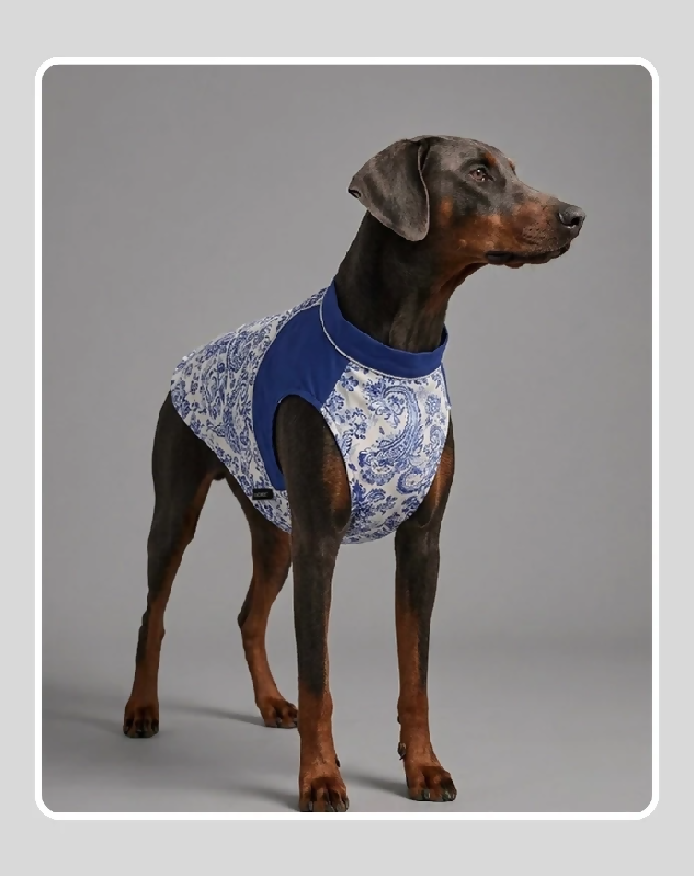 Blue Indian Cotton Ethnic Kurta Sherwani for Dog, Cat and Puppy | Ethnic Wear | Mehendi - Dress - Party - Diwali - Wedding Wear