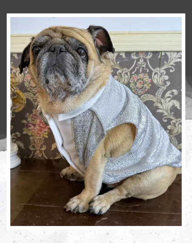 Silver Shimmer Tuxedo | Dog Tuxedo | Pet Tuxedo | Formal Suit for Dogs, Cats & Pets | Wedding, Party & Special Occasion Outfit