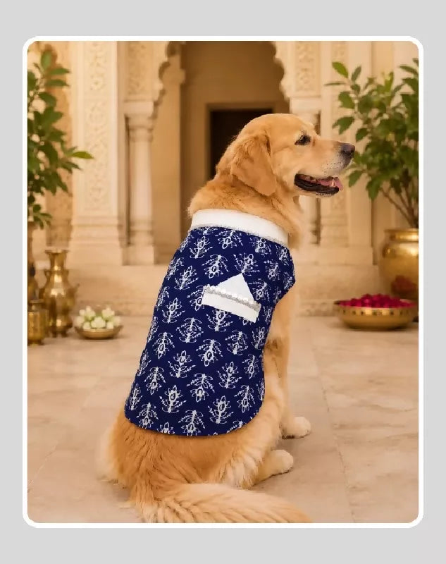 Blue Cotton Ethnic Kurta Sherwani for Dog, Cat and Puppy | Ethnic Wear | Mehendi - Dress - Party - Diwali - Wedding Wear