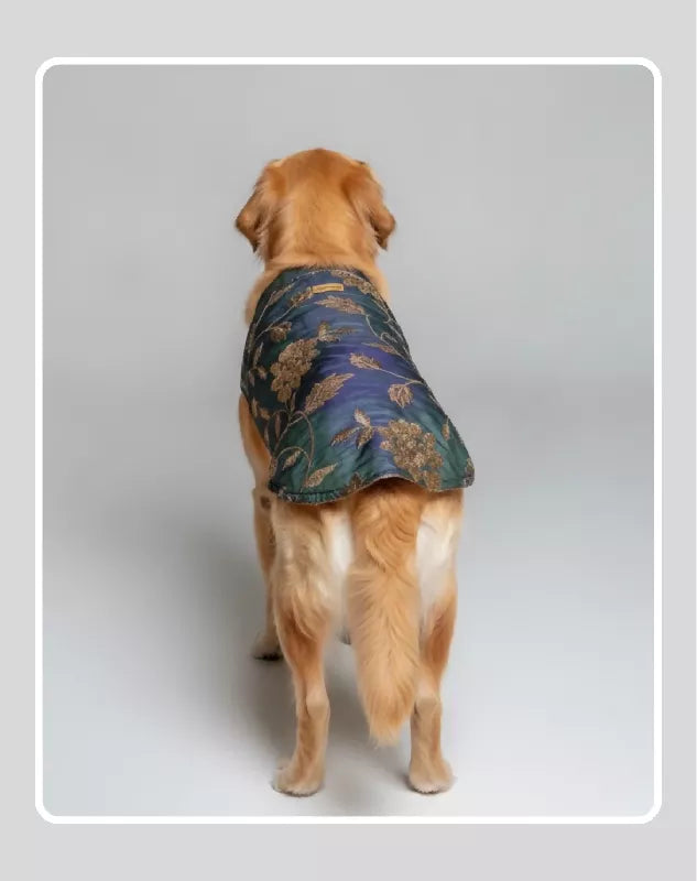 Elegant Sherwani for Dogs & Cats | Ethnic Kurta Sherwani for Dog, Cat and Puppy | Ethnic Wear | Mehendi - Dress - Party - Diwali - Wedding Wear