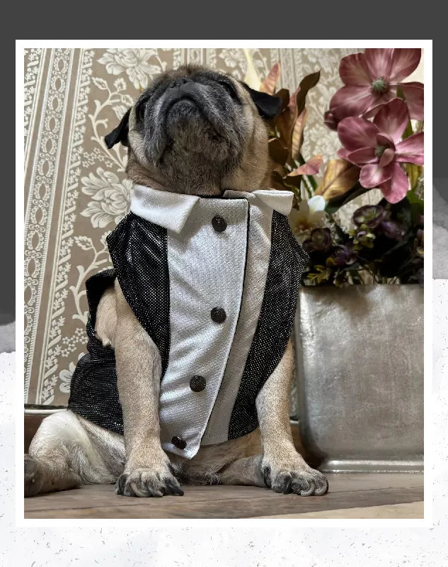 Black Shimmer Tuxedo | Dog Tuxedo | Pet Tuxedo | Formal Suit for Dogs, Cats & Pets | Wedding, Party & Special Occasion Outfit