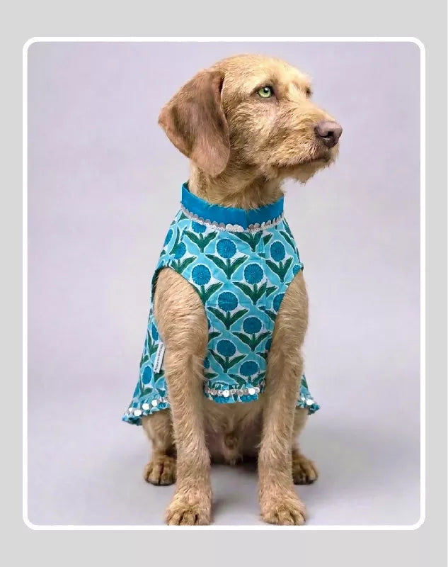 Blue Sherwani for Dogs & Cats | Ethnic Kurta Sherwani for Dog, Cat and Puppy | Ethnic Wear | Mehendi - Dress - Party - Diwali - Wedding Wear