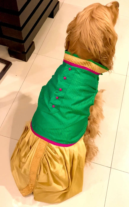 Classy Green Dhoti Kurta for Dogs & Cats | Dog Dhoti Kurta | Pet Dhoti Kurta | Indian Ethnic Dress for Dogs, Cats & Pets | Traditional Festival & Wedding Outfit