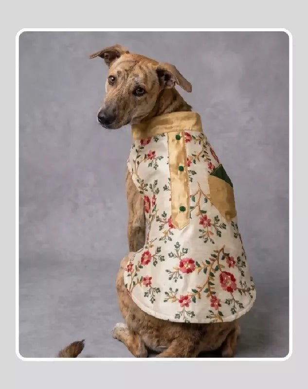 Beige Sherwani With Multicolour Floral Work | Ethnic Jacket | Dress - Party - Winter - Wedding Wear for Dog, Cat and Puppy