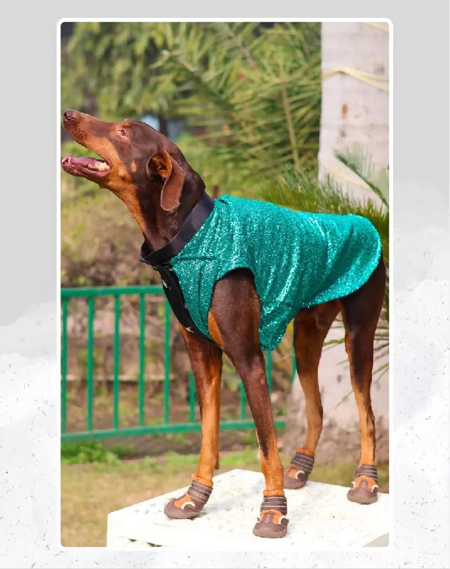 Green Sequin Tuxedo | Dog Tuxedo | Pet Tuxedo | Formal Suit for Dogs, Cats & Pets | Wedding, Party & Special Occasion Outfit